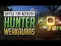Hunter WeakAuras BFA Patch Guide - Beast Mastery Marksmanship and Survival