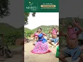 Download Lagu Pachatanchu Pattucheera Reels || Nehal Gangavath || Bunny Yadav || Folk Songs 2023 || PC 19