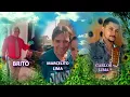 CICATRIZES DO TEMPO (CARLOS LIMA)