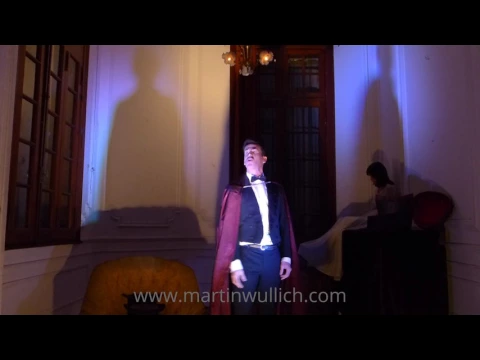 BAJO TU DOMINIO - Teatro - www.martinwullich.com