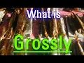 What is Grossly How to Say Grossly in English How Does Grossly Look