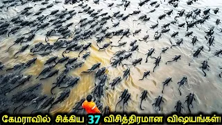 கேமராவில் சிக்கிய 37 விசித்திரமான விஷயங்கள்! | Strange Things Caught On Camera | Tamil Ultimate