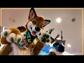 Download Lagu My Local Furry Convention is GROWING!