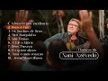 Playlist - Clássicos do Nani Azevedo