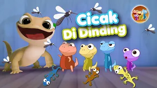 Download Cicak Cicak di Dinding - Lagu Anak Indonesia Populer MP3