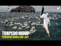 Lagu Burung Gannet: Penyelam Andal, Penguasa Udara dan Lautan