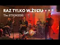 Download Lagu Raz tylko w życiu - Zespół The STRINGERS - LIVE 2025