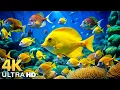 Download Lagu The Best 4K Aquarium - Dive Into The Mesmerizing Underwater Realm, Sea Jellyfish, Coral Reefs .