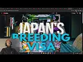 Japanese Breeding Visa Nah can t be real