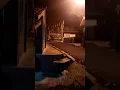 Download Lagu Ternyata Di Tempat Yang Sepi Ini bisa Mencerminkan Bahwa Bayangan mu juga akan pergi ketika gelap