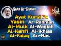 Beautiful Recitation, Ayat AlKursi, Yasin, AlWaqiah, Arrahman, AlMulk,  Alfatiha, AlKahf For Healing