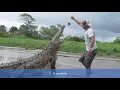 Bunbury Lady blue (versión GIF, con letra)