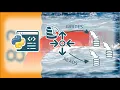 How to use MySQL 8 2 Splitting with MySQL Connector Python