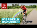 Download Lagu 5 Wege auf einer Radtour zu pinkeln