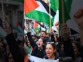 “Free Palestine: Milan Solidarity Protest” #shortsfeed #ytshorts #veo3 #freepalestine