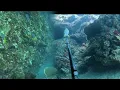 Download Lagu Borongan spearfishing//pira na  naging bato pa😅