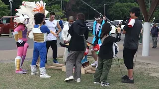                 دندنها
