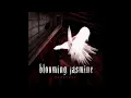 NIGHT BLOOMING JASMINE HARDTEKK SUPER SLOWED
