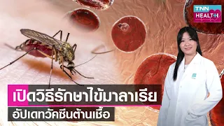 ใครมีความเสี่ยงสูงที่จะเป็นโรคไข้มาลาเรียบ้าง