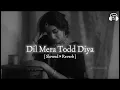 Lagu Dil mera todd diya 🤗💯🥀 hindi song lyrics please subscribe 