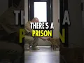 Why Cats are going to Jail