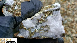 Insanely High Grade Gold Quartz Samples From A New Logging Road Cut!