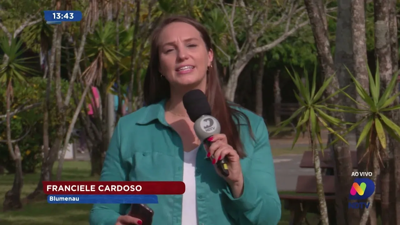 Carro de luxo furtado no Paraná é encontrado desmanchado em Blumenau