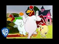 Download Lagu Looney Tunes | Foghorn Leghorn on the Farm | Classic Cartoon Compilation | WB Kids