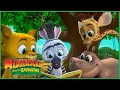 Lagu Aprendendo a Ler 📚 | DreamWorks Madagascar em Português