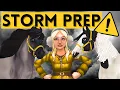 STORM PREP Can We Keep the Horses Safe Star Stable RRP