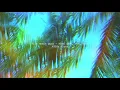 🌴 Rich Homie Quan - Flex (Ooh, Ooh, Ooh) 432Hz