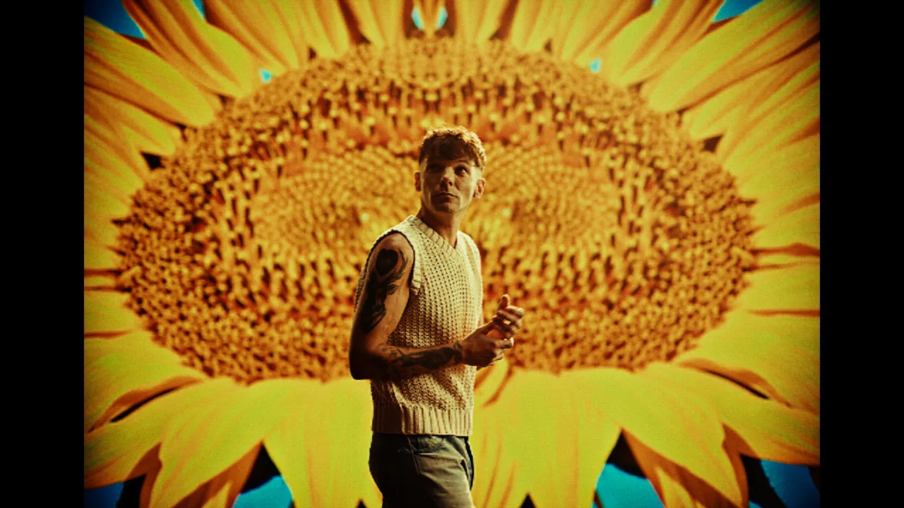Louis Tomlinson - Sunflowers (Visualiser)