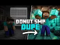 DONUT SMP INSANE DUPE