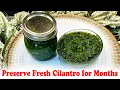 Preserve Fresh Cilantro for Months
