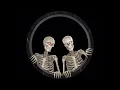 Spirit Halloween Skeleton Hologram