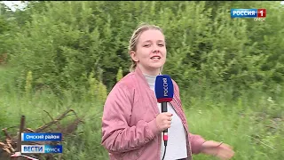 Омские дачники вновь жалуются на мусорные кучи