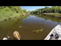 Pike Attack