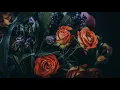 Hani Shaker - Lessa Btes'aly (Egyptian Arabic) Lyrics + Translation - هاني شاكر - لسا بتسألي