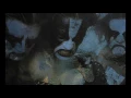 Immortal  -  Mountains Of Might