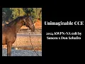 Download Lagu Unimaginable CCE by Sanceo x Don Schufro x Hohenstein, 2024 KWPN-NA colt 