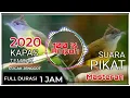Download Lagu SUARA PIKAT KAPAS TEMBAK \u0026 CUCAK JENGGOT || BISA JUGA UNTUK MASTERAN