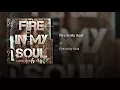Fire in My Soul