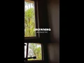 Mario - Drowning (Acoustic)