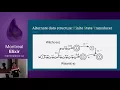 Discover Elixir Compiler Internals