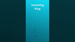 Underwater footage of a Salmon coming in on a downrigger – The Off-Road Angler