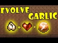 How to evolve Garlic - Guide