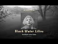 Download Lagu AURORA - BLACK WATER LILIES (LYRICS)