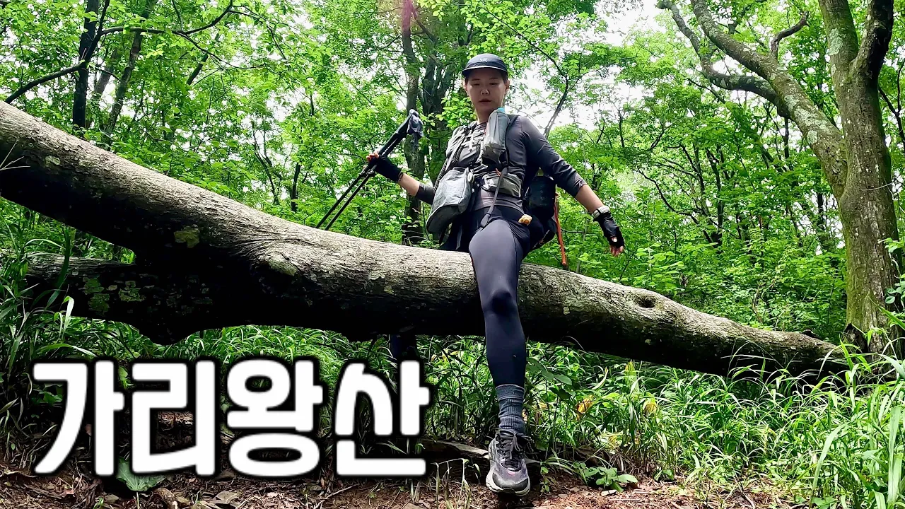 [Hiking] 강원 정선 가리왕산 나홀로 등산 | 한글 정상석으로 교체된 상봉⛰ 원시림이 살아있는 중봉⛰ | 회동리 코스 | 가리왕산 자연휴양림 | 산림청 100대명산 サムネイル