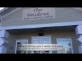 The Meadows Early Learning Center