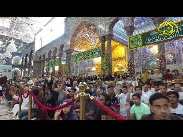 ⁣شاهد فرحة عشاق محمد وآل محمد بشهرشعبان الخير ؟؟